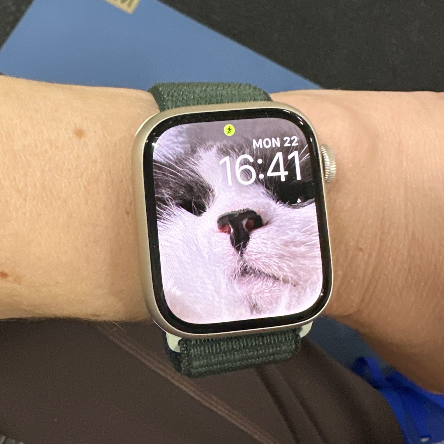 a photo of a woman's wrist with an Apple Watch on it, and on the watch face is a photo of a cat's face up close